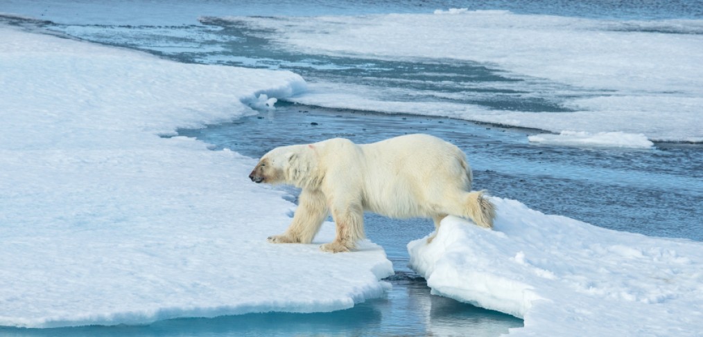 cop 21 réchauffement climatique