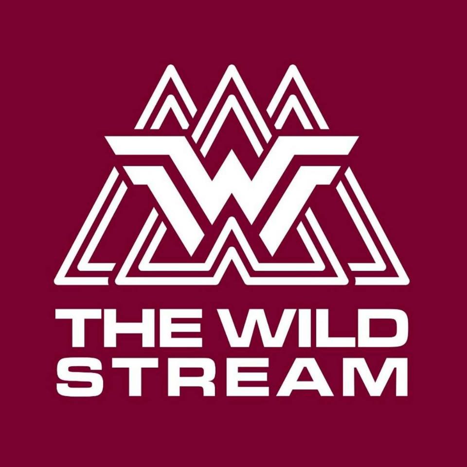 Logo The Wild stream communication client Grenoble