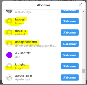 Faux influenceur 1 Instagram