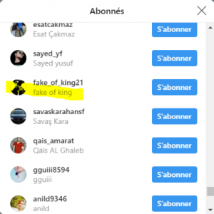 Faux influenceur 2 Instagram