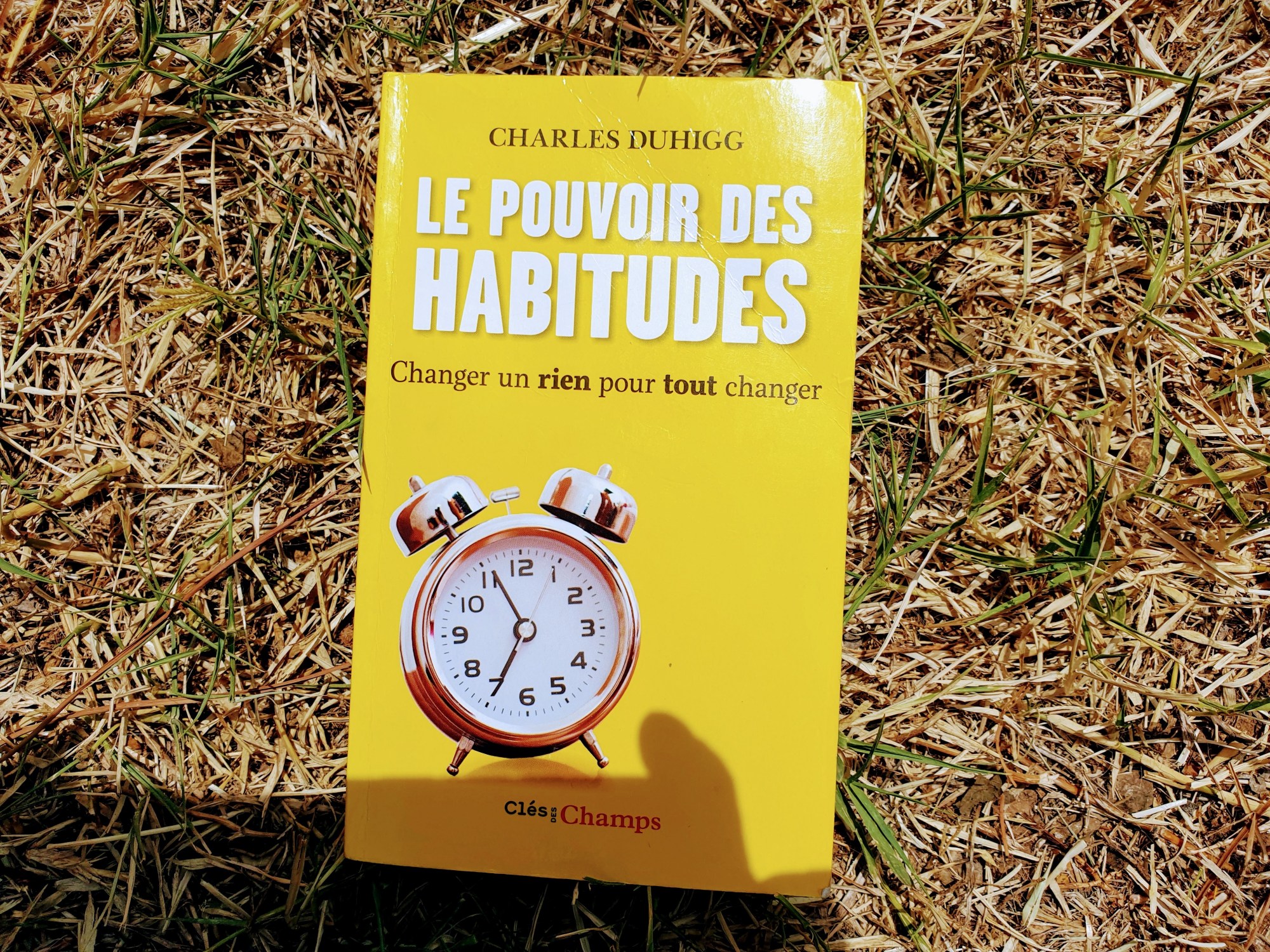 le pouvoir des habitudes charles duhigg