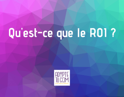 ROI retour sur investissement définition