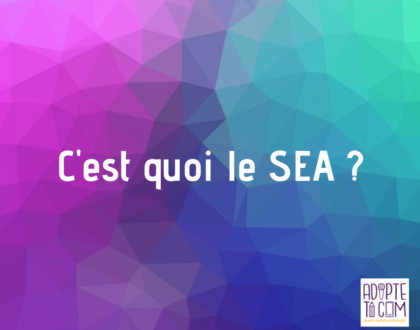 SEA Search Engine Advertising définition publicité sur les moteurs de recherche