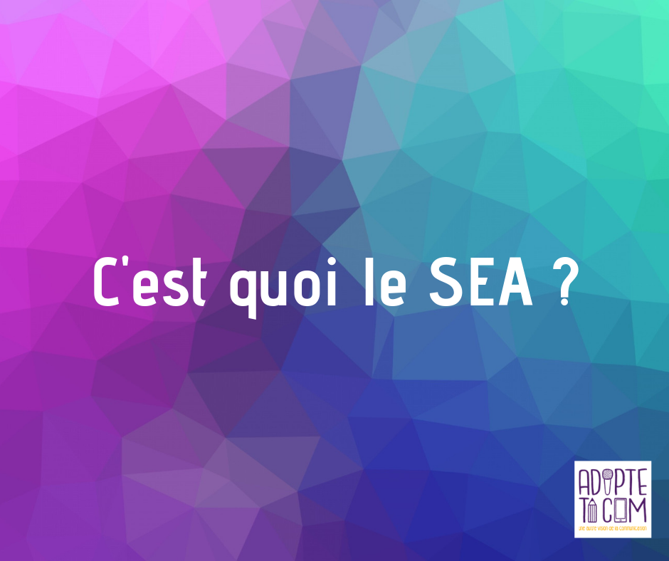 SEA Search Engine Advertising définition publicité sur les moteurs de recherche