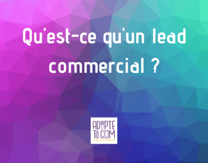 lead commercial définition