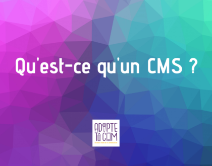 CMS définition wordpress drupal prestashop magento